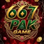 667PAK Game